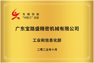 Blesson-Little Giant enterprise